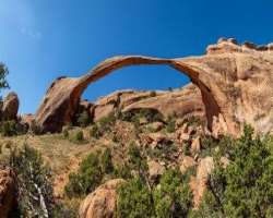 The longest arch in the park is Landscape Arch located in the Devils garden. It is also the fifth-longest natural arch throughout the world.